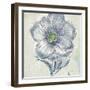 Belle Fleur II-Sue Schlabach-Framed Art Print