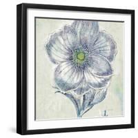 Belle Fleur II-Sue Schlabach-Framed Art Print