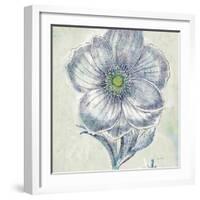 Belle Fleur II-Sue Schlabach-Framed Art Print