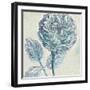 Belle Fleur III-Sue Schlabach-Framed Art Print