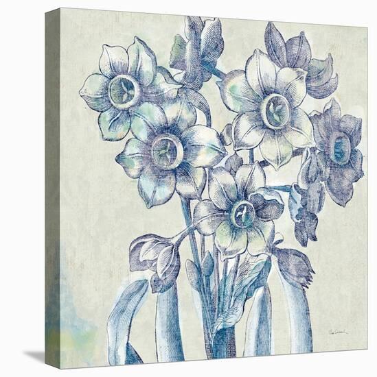 Belle Fleur IV-Sue Schlabach-Stretched Canvas