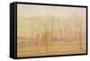 Belle Isle en Terre: Brittany, 1992-2004-Maurice Sheppard-Framed Stretched Canvas