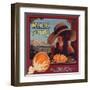 Belle of Piru Brand - Piru, California - Citrus Crate Label-Lantern Press-Framed Art Print