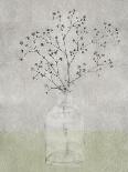 Rustic Still - Bud-Belle Poesia-Giclee Print