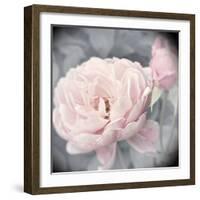 Belle Rose I-Linda Wood-Framed Giclee Print