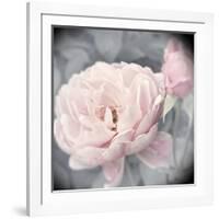 Belle Rose I-Linda Wood-Framed Giclee Print