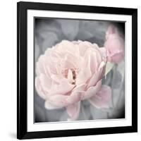 Belle Rose I-Linda Wood-Framed Giclee Print
