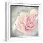 Belle Rose II-Linda Wood-Framed Giclee Print