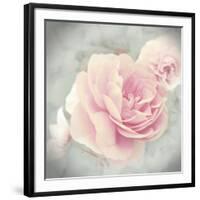 Belle Rose II-Linda Wood-Framed Giclee Print