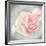 Belle Rose II-Linda Wood-Framed Giclee Print