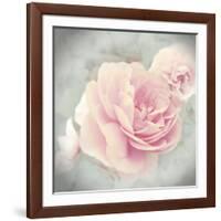 Belle Rose II-Linda Wood-Framed Giclee Print