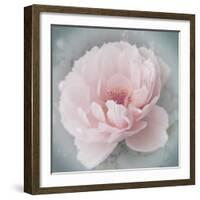 Belle Rose III-Linda Wood-Framed Giclee Print