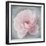 Belle Rose III-Linda Wood-Framed Giclee Print