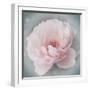 Belle Rose III-Linda Wood-Framed Giclee Print