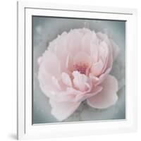 Belle Rose III-Linda Wood-Framed Giclee Print