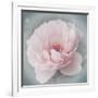 Belle Rose III-Linda Wood-Framed Giclee Print