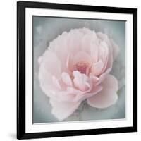 Belle Rose III-Linda Wood-Framed Giclee Print