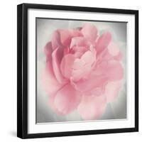 Belle Rose IV-Linda Wood-Framed Giclee Print