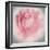 Belle Rose IV-Linda Wood-Framed Giclee Print