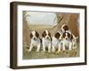 Belle's Pups-Ruane Manning-Framed Art Print