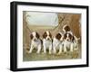 Belle's Pups-Ruane Manning-Framed Art Print