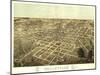 Belleville, Illinois - Panoramic Map-Lantern Press-Mounted Art Print