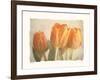 Bellezza I-Amy Melious-Framed Art Print