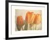 Bellezza I-Amy Melious-Framed Art Print