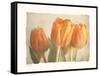 Bellezza I-Amy Melious-Framed Stretched Canvas