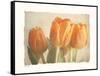 Bellezza I-Amy Melious-Framed Stretched Canvas