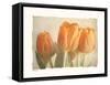 Bellezza I-Amy Melious-Framed Stretched Canvas