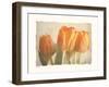 Bellezza I-Amy Melious-Framed Premium Giclee Print