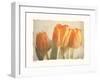 Bellezza I-Amy Melious-Framed Premium Giclee Print