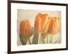 Bellezza I-Amy Melious-Framed Art Print