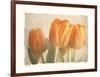 Bellezza I-Amy Melious-Framed Art Print