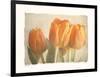 Bellezza I-Amy Melious-Framed Art Print