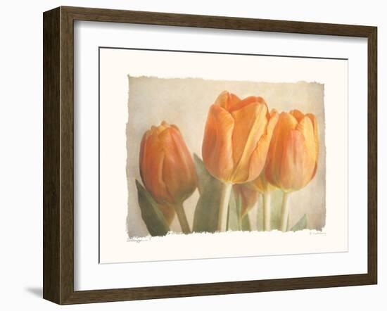 Bellezza I-Amy Melious-Framed Art Print