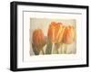 Bellezza I-Amy Melious-Framed Art Print