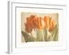 Bellezza II-Amy Melious-Framed Art Print