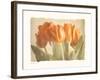 Bellezza II-Amy Melious-Framed Art Print