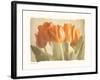 Bellezza II-Amy Melious-Framed Art Print