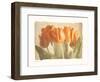 Bellezza II-Amy Melious-Framed Art Print