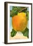 Bellflower Apple-null-Framed Art Print