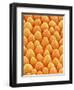 Bellflower Petal-Micro Discovery-Framed Photographic Print