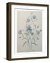 Bellflower-Pierre-Joseph Redoute-Framed Art Print