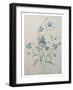 Bellflower-Pierre-Joseph Redoute-Framed Art Print