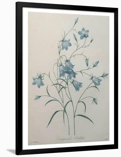 Bellflower-Pierre-Joseph Redoute-Framed Art Print