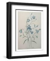 Bellflower-Pierre-Joseph Redoute-Framed Art Print