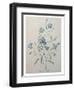 Bellflower-Pierre-Joseph Redoute-Framed Art Print