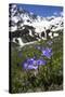 Bellflowers with Lake Donguzorun and Donguzorumn Mountains Behind, Caucasus, Russia, June-Schandy-Stretched Canvas